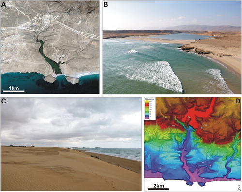 Figure 7. Examples of coastal and marine landforms: (A) GoogleEarth™ image and (B) field picture of the Khor Rori estuary and sand barrage, with marine terraces in the background; (C) coastal dunes; (D) DEM image illustrating a staircase of flat surfaces including marine terraces.