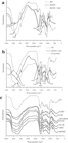 Figure 4. FT-IR spectra of A: plain biopolymers alginate, agar and their binary mixtures; B: green tea (GT) encapuslated in the alginate-agar binary mixture; and C: microencapsulates of green tea in all evaluated binary mixtures as carriers.