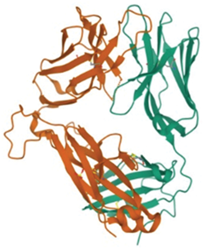 Figure 7. 3 D of HeLa cell line protein (Cellular tumor antigen p53) retrieved from protein data bank, PDB id: 6VTH, Method: X-RAY DIFFRACTION and Resolution: 2.36 Å.