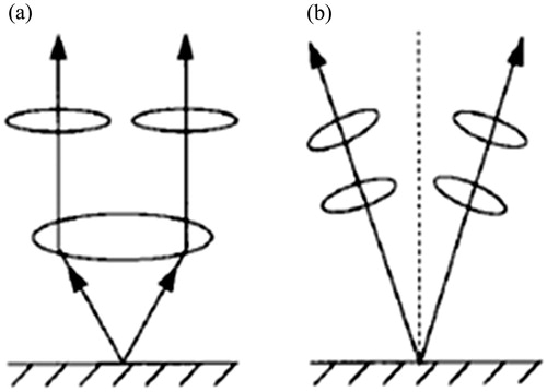 Figure 3. Two forms of stereomicroscope (a) Parallel optical system and (b) Tilted optical system.