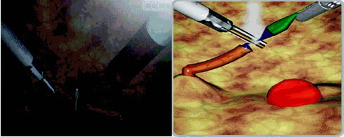 Figure 2. Simulator graphics for the clip application task (left) and the cutting task (right).