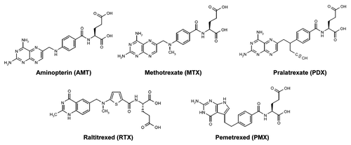 Figure 1. Structures of clinically relevant antifolates. Structures are shown for aminopterin (AMT), methotrexate (MTX), and pralatrexate (PDX), all dihydrofolate reductase (DHFR) inhibitors, and thymidylate synthase inhibitors raltitrexed (RTX) and pemetrexed (PMX).