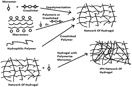 Figure 3. Represents methods used for the formulations of hydrogels by free radical reactions.