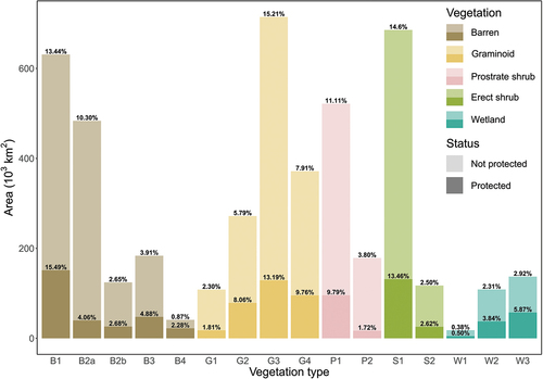 Figure 1. The 2018 baseline abundance and protection status of Arctic vegetation types. The Arctic tundra encompasses approximately 4.7 million km2. The height of the bars represents the absolute extent of each vegetation type within and outside of protected areas. The percentages above the bars represent the relative abundance of the vegetation type within the pan-Arctic tundra. The percentages within the darker-colored bars (protected area) represent the relative abundance of each vegetation type in the protected area compared to the total protected area. The vegetation types can be summarized into barren tundra (B1: cryptogam herb barren; B2a: cryptogam barren complex [bedrock]; B2b: prostrate shrub/barren complex [bedrock]; B3: noncarbonate mountain complex; B4: carbonate mountain complex), graminoid tundra (G1: rush/grass forb, cryptogam tundra; G2: graminoid, prostrate dwarf shrub, forb tundra; G3: nontussock sedge, dwarf shrub, moss tundra; G4: tussock sedge, dwarf shrub, moss tundra), prostrate shrub tundra (P1: prostrate dwarf shrub, herb tundra; P2: prostrate/hemiprostrate dwarf shrub tundra), erect shrub tundra (S1: erect dwarf shrub tundra; S2: low-shrub tundra), and wetlands (W1: sedge/grass, moss wetland; W2: sedge, moss, dwarf shrub wetland; W3: sedge, moss, low-shrub wetland).