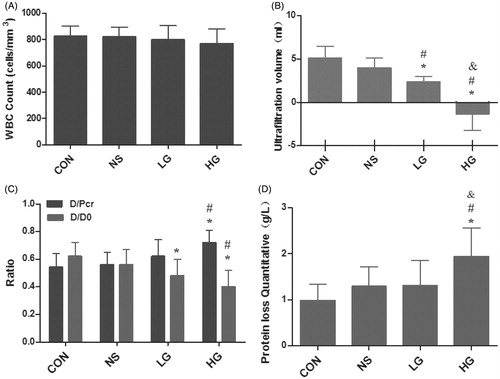 Figure 1. Alternation of peritoneal function in peritoneal dialysis rats. (A) WBC Count of peritoneal dialysis effluents. (B) The ultrafiltration volume. (C) Peritoneal equilibration tests. (D) Protein loss of groups. Data presented as mean ± SD. *Denotes p < 0.05 versus the control group. #Denotes p < 0.05 versus the NS group. &Denotes p < 0.05 versus the LG group.