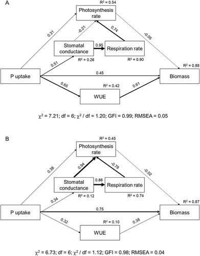 Figure 6. Effects of five variables on crop biomass at low P (A) and high P level (B). The width of arrows indicates the strength of the causal effect. Bold and dashed lines indicate significant (P ≤ 0.05) and non-significant (P > 0.05) pathway respectively. The numbers above the arrows indicate path coefficients. R2 values represent the proportion of the variance explained for each variable. ‘χ2’, ‘df’, ‘GFI’ and ‘RMSEA’ represent Chi-square, degree of freedom, goodness of fit index and root mean square error of approximation respectively.