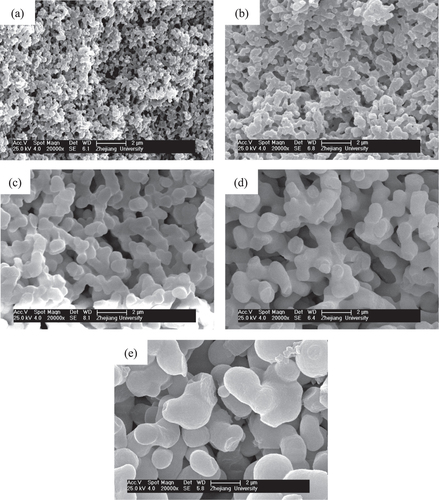 Figure 3. SEM images of dried ZrO2 gels prepared with various solvent ratios (VH2O/VEtOH): (a) 1.8/3.0 (P11), (b) 2.0/2.8 (P12), (c) 2.2/2.6 (P13), (d) 2.4/2.4 (P14) and (e) 2.6/2.2 (P15).