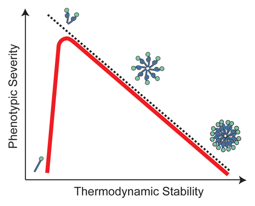 Figure 2 Relating prion phenotypic severity to aggregate thermodynamic stability. For many prion variants, there is a linear but inverse relationship between aggregate thermodynamic stability and phenotypic severity (black dotted line), but this trend cannot explain the phenotypes associated with all prion variants or the effects of dominant-negative prion mutants (see text for details). Our studies in vivo on the yeast prion [PSI+] suggest that thermodynamic stability poses a limit on prion persistence at both extremes (red line) by impacting aggregate size and accumulation (shown schematically). The least thermodynamically stable aggregates are efficiently resolubilized, while the most thermodynamically stable aggregates are inefficiently transmitted.