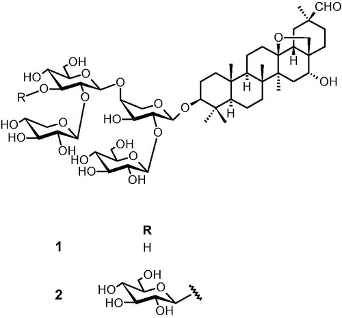 Figure 1. Structures of saxifragifolin B (1) and cyclamin (2).
