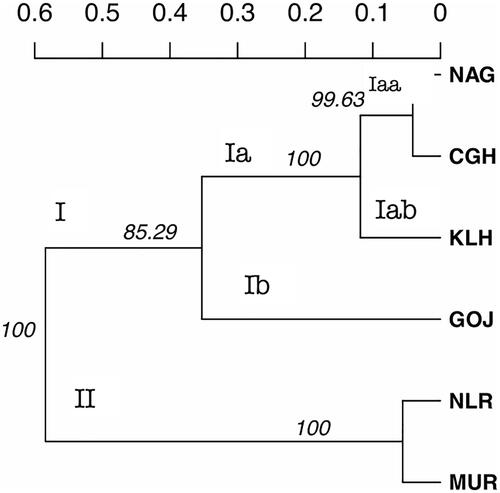 Figure 4. UPGMA tree inferring evolutionary distances of the six buffalo populations.
