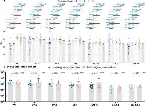 Figure 4. Correlation between vaccination doses and strategies and neutralization antibodies against WT strain and the Omicron subvariants by breakthrough infection sera. Correlation between vaccination doses and neutralization antibodies. P value was compared using Kruskal–Wallis test with Dunn’s multiple comparison correction and the fold-change was calculated by comparing the left geometric mean to the right one. Correlation between homologous and heterologous booster strategies and neutralization antibodies in the young-adult cohort. P-value was compared using Kruskal–Wallis test with Dunn’s multiple comparison correction and the fold-change was calculated by comparing the left geometric mean to the right one. Dashed Line: The Lower Limit of Detection.