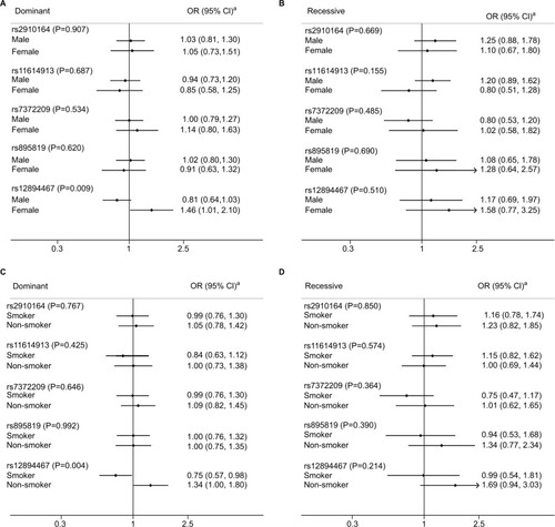 Figure 1 Stratified analysis of the association between miRNA gene SNPs and the risk of primary lung cancer in the Han population.Notes: A and B are stratified by gender in dominant and recessive models respectively. C and D are stratified by smoking status in dominant and recessive models respectively. aAdjustment of age, gender, education, marital status, BMI, drinking alcohol, drinking tea, history of lung diseases, occupational exposure to hazardous substances, family history of cancer, smoking, ETS, living nearby the polluting enterprises, residential type, ventilation status, type of cooking fuel, exposure to cooking fumes, using exhaust fans or range hood, cooking oil temperature, and house decorated or not in the past 10 years.Abbreviations: BMI, body mass index; CI, confidence interval; ETS, environmental tobacco smoke; OR, odds ratio; SNPs, single-nucleotide polymorphisms.