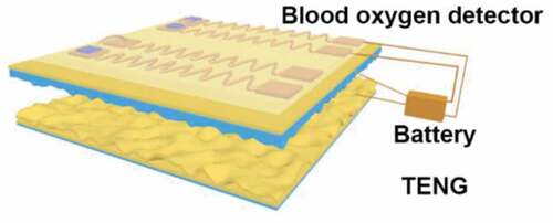 Figure 3. First demonstrated flexible self-powered blood oxygen detect system based on triboelectric nanogenerator [Citation7]