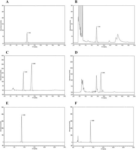 Figure 1. Quantitative analysis of major compounds in QLY granules. HPLC chromatograms. (A) Standard solution of berberine. (B) Extract of Qingluoyin granules. (C) Standard solution of oxymatrine. (D) Extract of Qingluoyin granules. (E) Standard solution of sinomenine. (F) Extract of Qingluoyin granules.