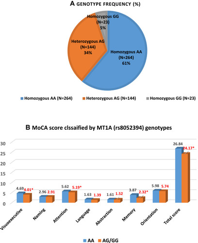 Figure 1 (A) Gene polymorphisms of MT1A rs8052394 in the study population (n=431) and (B) mean Montreal Cognitive Assessment scores among individuals with different genotypes (*significant difference from the AA genotype, P<0.05).