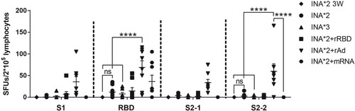 Figure 4. SARS-CoV-2 Spike-specific T cell responses induced by homologous and heterologous prime-boost regimens measured by INF-γ ELISPOT assay. Mice were sacrificed for measuring T cell responses. Isolated lymphocytes were stimulated with 4 spike peptide pools, and the IFN-γ secreting cells were quantified by ELISPOT assay. N = 6 per group, one spot represents one sample. One-way ANOVA was performed for comparison. Bars represent the mean ± SEM, ns: p > 0.05, ***p < 0.001, ****p < 0.0001.