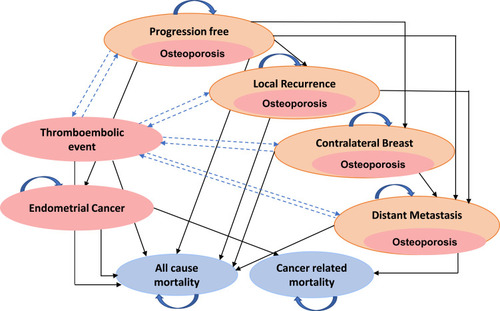 Figure 1 Markov model depicting the progression of early stage breast cancer patients on adjuvant endocrine therapy.