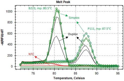 FIGURE 2 Melting curve analysis for the simplex and duplex EvaGreen based real-time PCR. B: Beef; P: Pork; mp: Melting peak.
