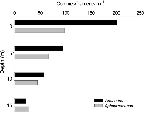 Fig 2. Variation in numbers of Anabaena flos-aquae colonies and Aphanizomenon flos-aquae filaments with depth in Rosthene Mere at the time of sampling (12 July 2000).