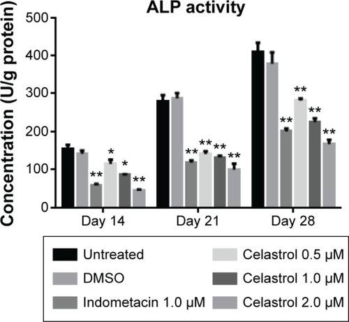 Figure 5 Effect of different doses of celastrol on ALP activity in isolated ankylosing spondylitis fibroblasts compared with indometacin and negative control.
