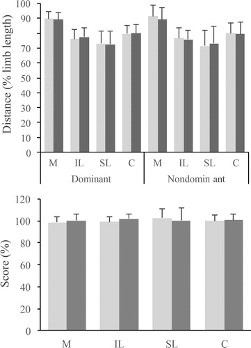 Figure 2. Mean (± standard deviation) distances (top) and scores (bottom) in medial (M), inferolateral (IL), superolateral (SL), and composite (C) directions for sessions 1 (light grey) and 2 (dark grey) DM, DIL, DSL and DC as well as SM, SSL, SC showed good test-rest reliability and stability (Table 1). SIL presented fair reliability. Concerning distances, the superolateral direction produced the highest reliability whereas the inferolateral direction produced the lowest reliability, as described by Gorman et al. (Citation2012).