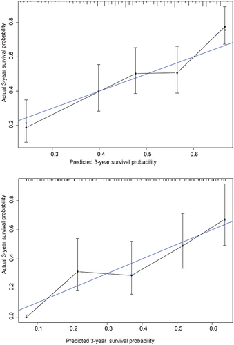 Figure 4 Calibration curve for predicting 3-year survival in the training cohort (upper figure) and the validation cohort (lower figure).