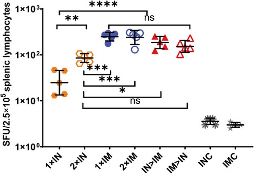 Figure 4. SARS-CoV-2 spike protein-specific cellular immune responses following ChAdTS-S vaccination. SARS-CoV-2 spike-specific IFN-γ detected using enzyme-linked immunospot assays. Five mice from each group were euthanized and their T-cell responses were measured. Lymphocytes were stimulated with SARS-CoV-2 spike peptide pools spanning the entire spike protein. IFN-γ-secreting cells were quantified using an ELISPOT assay (n = 5 per group; each data point represents the mean number of spots from double wells for one sample). Bars represent geometric means ± geometric SD, *P < 0.05; **P < 0.01; ***P < 0.001; ****P < 0.0001; ns: P > 0.05.