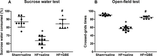 Figure 1 The results of depressive behaviors. (A) The results of source water test; (B) the results of open-field test. *P<0.05 comparing with sham+saline group. #P<0.05 comparing with HF+GBE group.