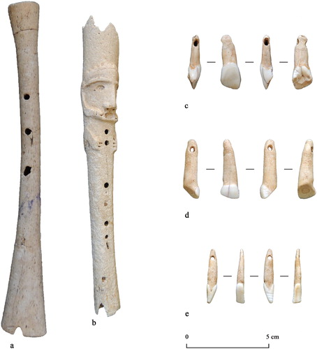 Figure 5. Bone artifacts from Kalinago archaeological assemblages from Grenada, sites of La Poterie (a, c, d, e) and Telescope Point (b) ( Figure by Catarina Guzzo Falci and Tom Breukel).