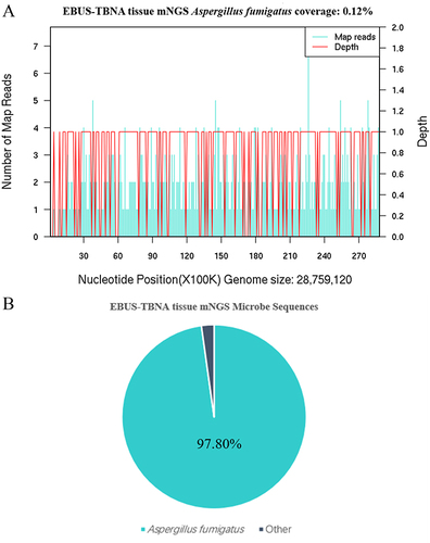 Figure 3 EBUS-TBNA tissue mNGS results in the patient. (A) The mNGS results showed that the coverage of Aspergillus fumigatus was 0.12%. (B) 97.8% of the microbial DNA sequences were Aspergillus fumigatus.