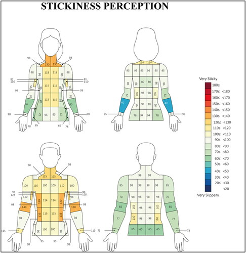 Figure 5. The females (n = 11) and males (n = 9) of stickiness perception distribution across the 36-testing location. All measurements were taken from the left-hand side of the body assuming asymmetry (Claus et al. Citation1987; Meh and Denišlič Citation1994).