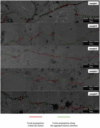 Figure 5. Microstructure images of the polished sample surfaces.