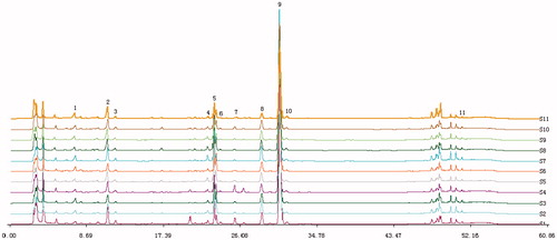 Figure 1. HPLC fingerprint graphics of AS. Analytical column: ODS-C18, 4.6 mm ×25 cm,5 μm; injected sample volume: 10 μL; mobile phase: 1.0% acetic acid in water (A) and acetonitrile (B) using a gradient program of 20–30% (B) in 0–10 min, 30–49% (B) in 1 0–20 min, 49% (B) in 2 0–40 min; 49–100% (B) in 40–50 min;100–20% (B) in 5 0–60 min; flow rate: 1 mL·min- 1; temperature: 25 °C; UV detection: 280 nm. (1) ferulic acid; (2) senkyunolide I; (3) senkyunolide H; (4) unkown compounds; (5) coniferyl ferulate; (6) senkyunolide A; (7) butylphthalide; (8) E-ligustilide; (9) Z-ligustilide; (10) Z-butylidenephthalide; (11) levistolide A.