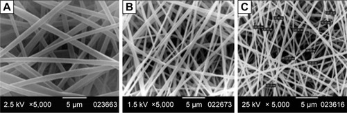 Figure 6 SEM micrographs of 20% (w/v) ES-NF with different loaded KET concentrations, (A) 10%, (B) 15% and (C) 20% (w/v), produced at a flow rate of 0.5 mL/h and an applied voltage of 15 kV.Abbreviations: SEM, scanning electron microscopy; ES, Eudragit S100; NF, nanofiber; KET, ketoprofen.