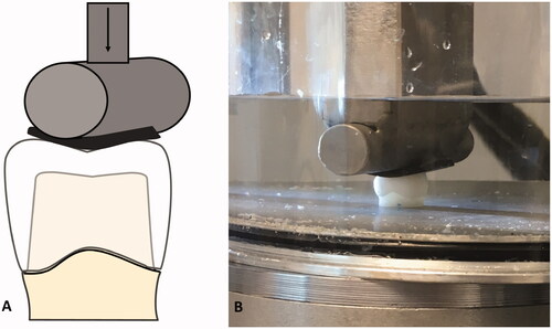 Figure 3. The test set-up. (A) Schematic illustration of the test during loading. (B) Photo of test during loading.