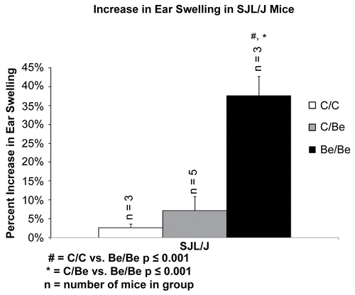 Figure 3.  Beryllium-induced ear swelling in SJL/J mice. The SJL/J mice were the highest responding strain in the inbred mouse ear swelling test. To ensure that the response was due to beryllium and not irritation, a second control group, (C/Be) was tested. In the C/Be group mice were sensitized on the back with vehicle (DBPT and water) and then challenged on the ear with beryllium (DPBT and BeSO4). Both controls were statistically significant from the treatment group, but there was no statistical difference between the control groups.