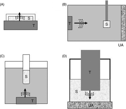 Figure 1. In vitro set up for sonication experiments. (A) A dish containing the sample (S) is positioned directly on top of the transducer (T) after applying acoustic gel to avoid air between the transducer and the dish. (B) Ultrasound travels horizontally through degassed distilled water to irradiate the sample positioned at a certain distance. At the far end is an ultrasound absorber (UA) that prevents reflection of ultrasound. (C) The tube containing the sample is positioned a few centimeters from the transducer and could be rotated during sonication for a more uniform exposure of its content. Ultrasound is directed upwards to hit the sample. (D) For small samples (such as those using 24 or 96 well plates), small transducers (e.g. less than 10 mm in diameter) can be dipped directly into the sample for sonication.