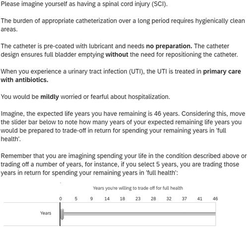 Figure 2. Example vignette for the ‘mild’ health state.