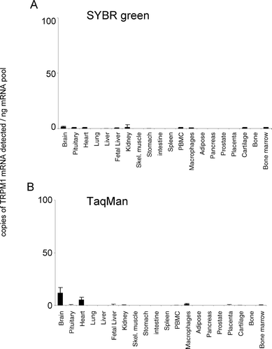 Figure 1. Expression of hTRPM1 mRNA. mRNA profiles in human CNS and peripheral tissues. Data are expressed as copies of TRPM1 mRNA detected normalized to ng mRNA pool to correct for RNA quantity and integrity and are means ± SEM for triplicate reverse transcription reactions from each RNA pool.