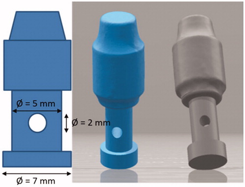 Figure 1. Dimensions and 3D view of the cobalt-chromium implant substitutes.