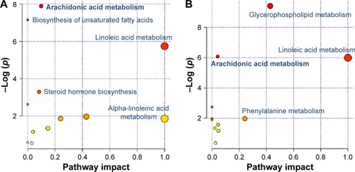 Figure 3 Pathway analysis of the metabolites regulated in lung tissues of COPD rats and BJF-treated rats.