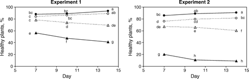 Figure 2.  Effect of day×treatment on proportion of healthy cauliflower seedlings after 7, 10 and 14 days, n = 8. Treatments: Δ = substrate inoculated with Rhizoctonia solani and nematodes, ▴ = substrate inoculated with Rhizoctonia solani, ○ = substrate inoculated with nematodes, • = only substrate (Control). Points marked with different letters (both vertical and horizontal comparisons) are significantly different (p<0.05). Nematodes inoculated: Aphelenchoides spp. (Experiment 1) or Aphelenchus avenae (Experiment 2).