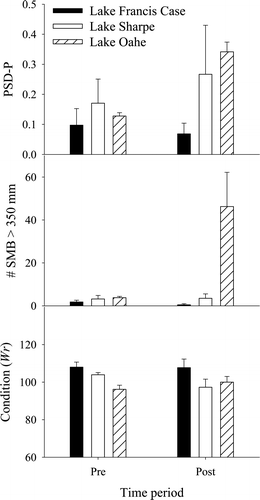 Figure 4 Size structure (PSD-P; upper panel), number of smallmouth bass (SMB) >355 mm caught in gill nets (middle panel), and condition (Wr; lower panel) during the pre- and post-regulation time periods in Lakes Oahe (hashed bar), Sharpe (open bar), and Francis Case (filled bar), SD. Error bars represent 1 standard error.