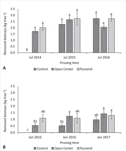 Figure 2. Effect of pruning treatments on biomass removal of young ‘Nadorcott’ trees for the entire trial period for: A) pruning after harvest in July and B) water shoot thinning in January. Bars indicate mean values ± SE (n = 10). Different letters above columns indicate significant differences among treatments and pruning times at p = .05 according to Tukey’s Studentized Range test