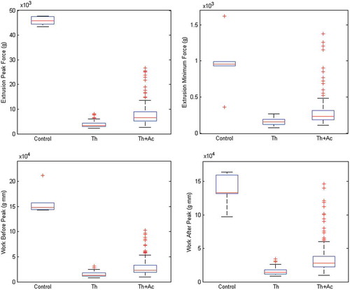 FIGURE 4 Overall comparison of the texture parameters of blanched green beans (Control), thermally treated green beans (Th), and green beans subjected to both thermal treatment and acidification (Th+Ac).