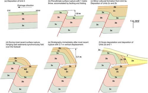 Figure 8. Schematic retro-deformation model for the sequence of surface rupturing earthquakes at the Macdonalds Creek trench. Unit thicknesses, offsets, and the dips of the fault and units are scaled. However, some small-scale lateral variation in unit thicknesses are not included. Syn-rupture deformation associated with the most recent surface rupture is shown progressively in two steps in parts D and E, MZ; mixed zone.