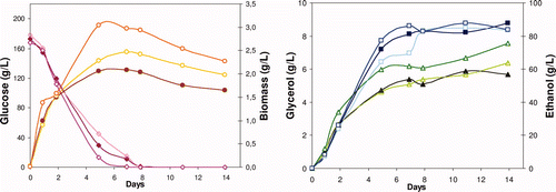 Supplementary Figure 2. Time course of glucose consumption (Display full size,Display full size,Display full size), and biomass (Display full size,Display full size,Display full size), glycerol (Display full size,Display full size,Display full size), and ethanol (Display full size,Display full size,Display full size) production during alcoholic fermentation of a synthetic medium with S. cerevisiae, in absence (bold) and in presence of pyraclostrobin residues (0.18 and 10 mg/L), respectively. Figura adicional 2. Evolución del consumo de glucosa (Display full size,Display full size,Display full size) y de la producción de biomasa (Display full size,Display full size,Display full size), glicerol (Display full size,Display full size,Display full size) y etanol (Display full size,Display full size,Display full size) durante la fermentación alcohólica de un medio sintético con Saccharomyces cerevisiae, en ausencia (símbolos llenos) y en presencia de residuos de pyraclostrobin (0,18 y 10 mg/L), respectivamente.