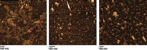 Figure 6. AFM images of PCL-mPEG2000-PEI/ASODN complexes at different N/P ratios (1, 6, 9).