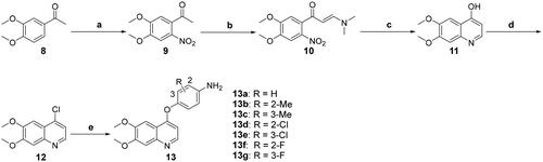 Scheme 1. Synthesis of the intermediates 13a–13g; reagents and conditions: (a) conc. HNO3 (40%), 0 °C, overnight; (b) DMF-DMA, toluene, reflux, 10 h; (c) Fe (powder), AcOH, 80 °C, 2 h; (d) POCl3, DMF (cat.), reflux, 1 h; (e) (1) 4-nitrophenols, PhCl, 140 °C, 20 h; (2) SnCl2, EtOH, 70 °C, 6 h.