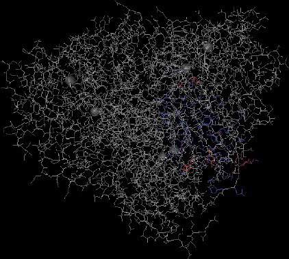 Figure 5. Three-dimensional structural evidence of the putative conserved domain of the tobacco AO protein.